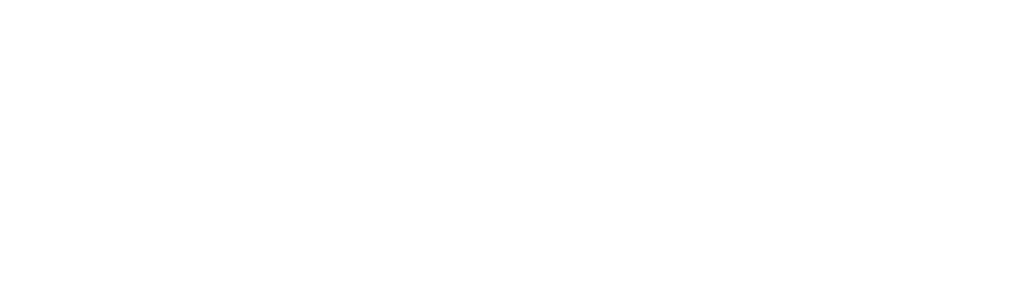 Career Coaching Services